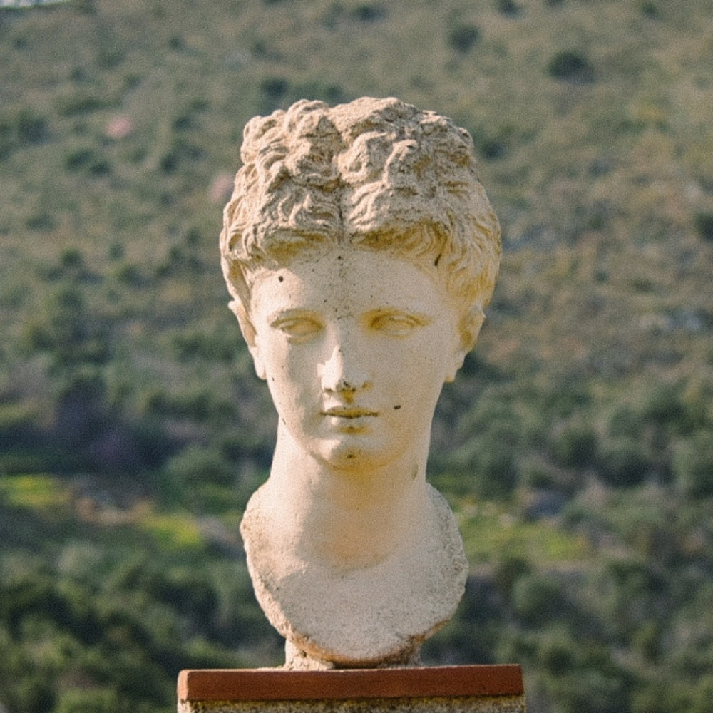 Meet your Posher, Romi